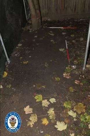 被阴谋论者父母秘密埋葬的被忽视男孩痛苦的最后几天