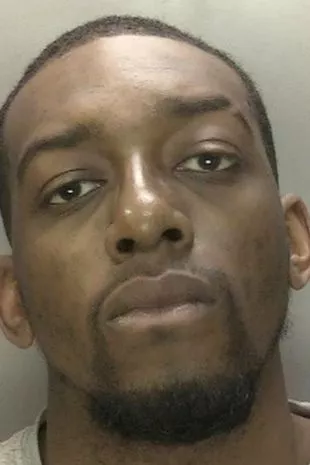 “我的英雄灵魂伴侣为了保护我们的儿子不受僵尸刀疯子的伤害,像公路上的死尸一样死去了”