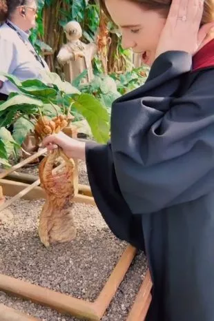 “我长得很像艾玛·沃特森——人们叫我赫敏,在街上拦住我。”