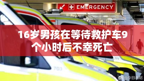 国际 第99页
