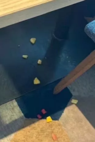 在诺如病毒袭击的P&O Iona邮轮内部,“垃圾箱溢出,到处都是生病”