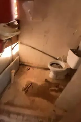 英国模特在惊恐的孩子面前被绑架,并被关在蛇出没的棚屋里