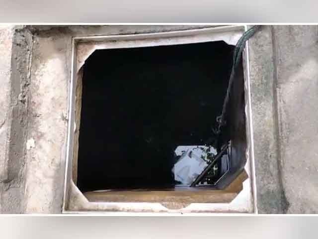 看点 第87页