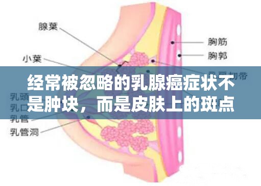 最新 第123页