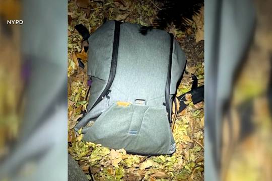 审计长指出了新不伦瑞克省精神卫生保健的问题