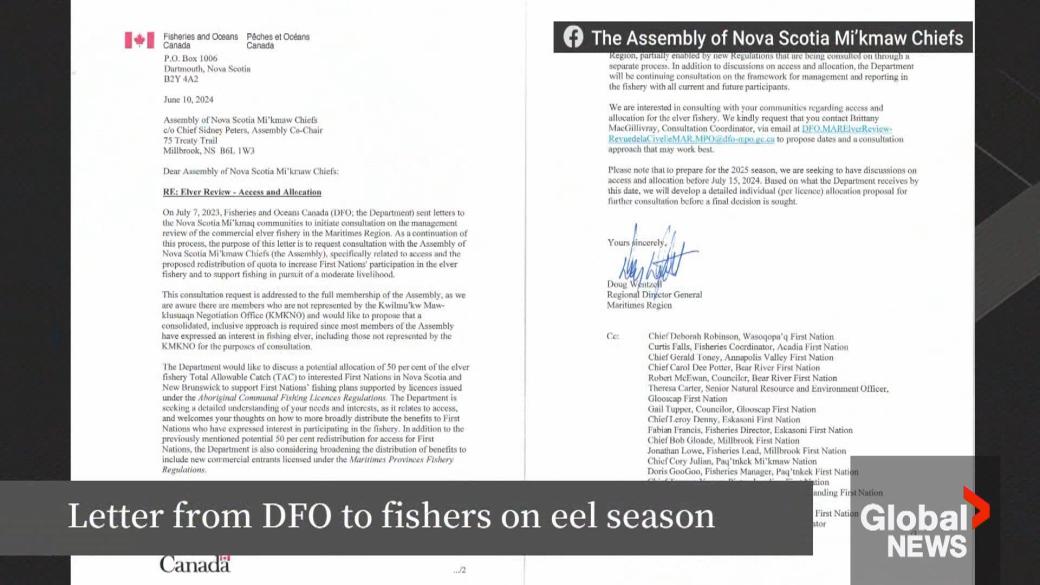 DFO表示,根据新的配额计划,商业鳗鱼渔民不会得到补偿