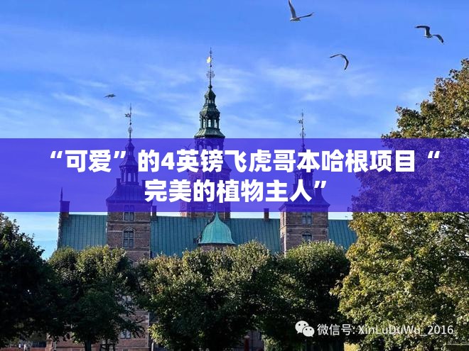 “可爱”的4英镑飞虎哥本哈根项目“完美的植物主人”