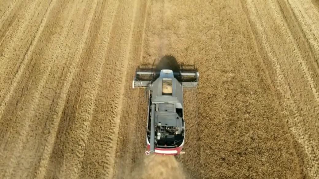 没有可行的替代方案”:种植粮食的农民担心铁路停运会产生持久的影响
