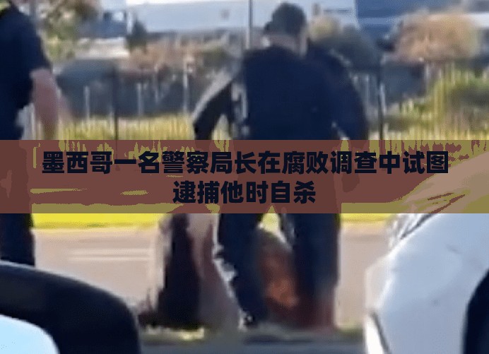 第232页