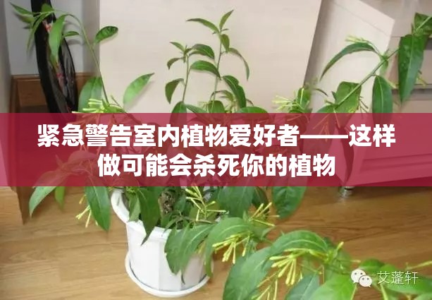 第218页