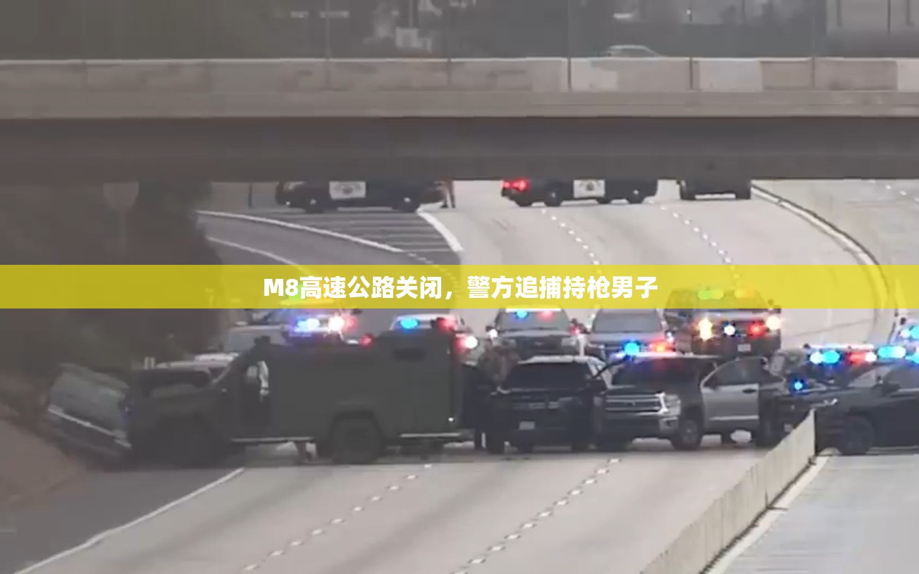 M8高速公路关闭,警方追捕持枪男子