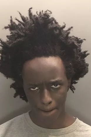 伊莲娜·安达姆的家人发出绝望的请求,以治愈英国的“病态”持刀犯罪流行病