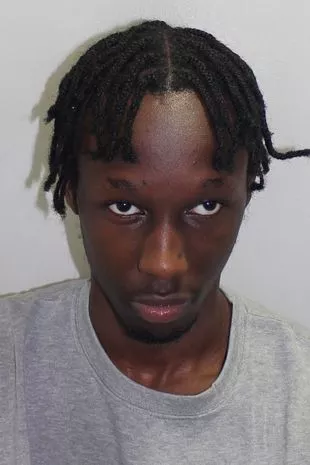 伊莲娜·安达姆的家人发出绝望的请求,以治愈英国的“病态”持刀犯罪流行病