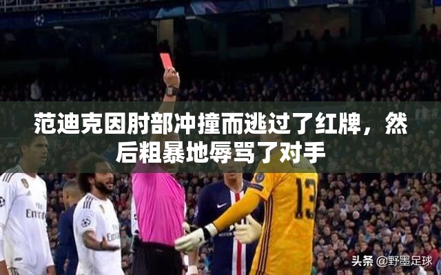 范迪克因肘部冲撞而逃过了红牌，然后粗暴地辱骂了对手