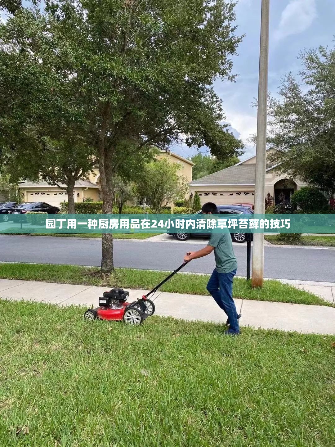 园丁用一种厨房用品在24小时内清除草坪苔藓的技巧