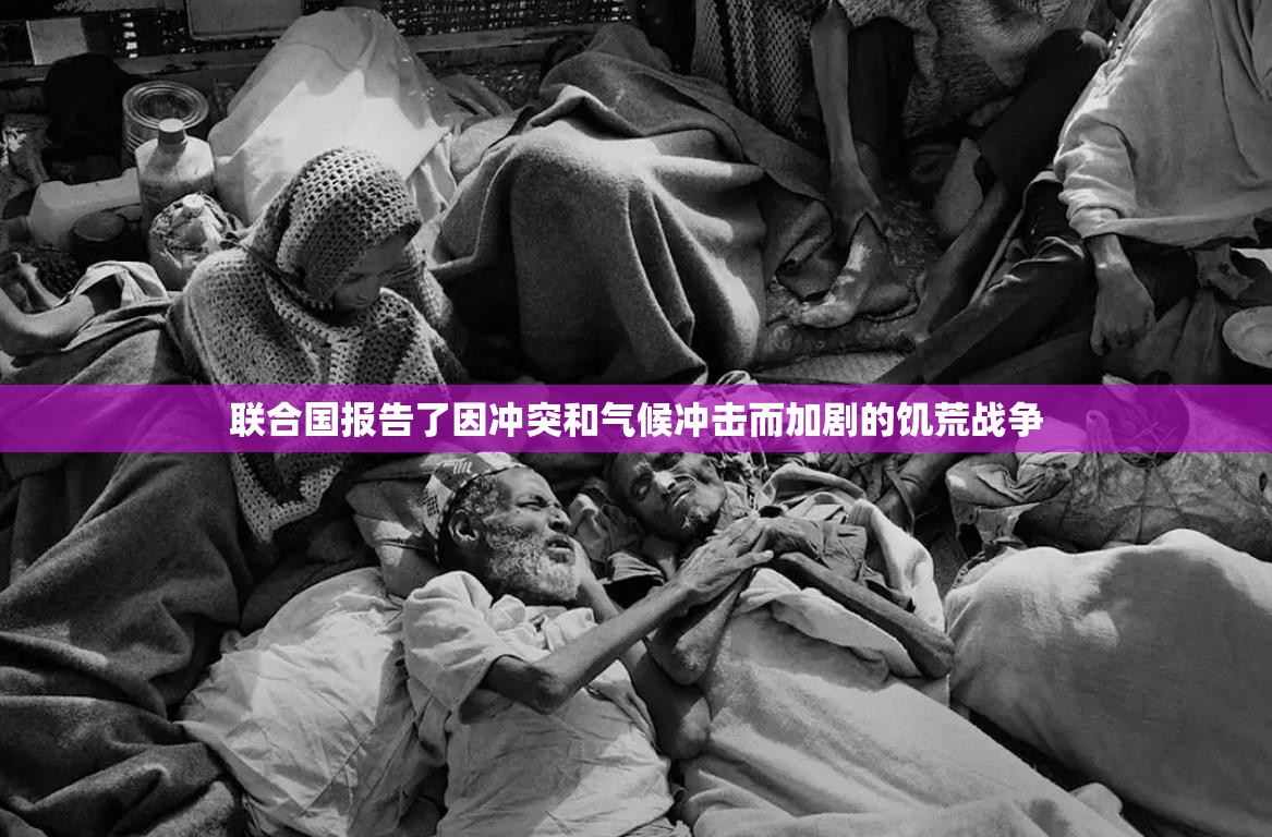 联合国报告了因冲突和气候冲击而加剧的饥荒战争