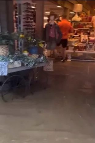 多莉·帕顿的多莉坞混乱,极端的洪水淹没了汽车,并在世界末日的场景中受伤